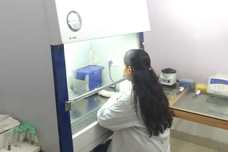 Biosafety Cabinet Biosafety Cabinet