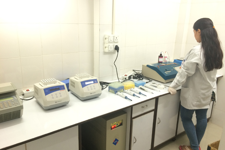 PCR PCR